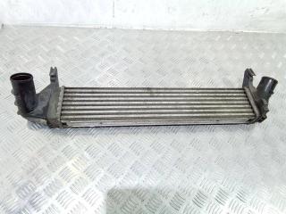 интеркулер Renault Logan 1 поколение [рестайлинг] 2010, 8200409045
