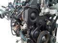 защита (кожух) ремня ГРМ Peugeot Partner 1 поколение (M59) [рестайлинг] 2010, 1.6 л., дизель, МКПП - фото №2