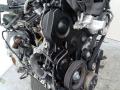 защита (кожух) ремня ГРМ Citroen Berlingo 1 поколение (M59) [рестайлинг] 2010, 1.6 л., дизель, МКПП - фото №2