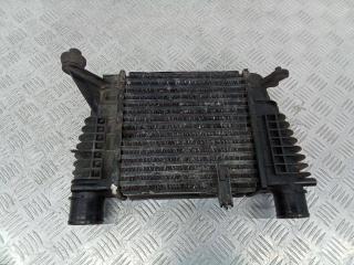 интеркулер Renault Modus 1 поколение 2007, 876893NF, 8200170504