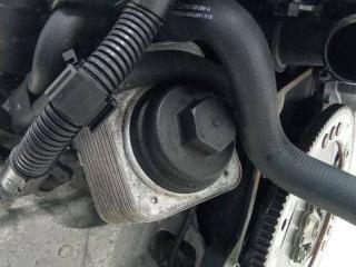 теплообменник масляного фильтра Porsche Cayenne 955 2007, 3.6 л., бензин, АКПП, 038117061