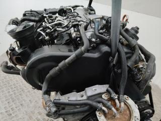 защита (кожух) ремня ГРМ Volkswagen Passat B6 2009, 2.0 л., дизель, МКПП