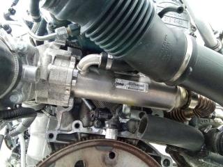 охладитель EGR / Радиатор EGR Volvo XC90 1 поколение [рестайлинг] 2008, 2.4 л., дизель, АКПП, 8801828